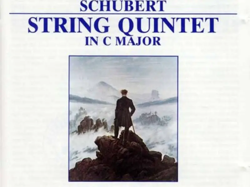 Vivaldi: Bassoon Concertos